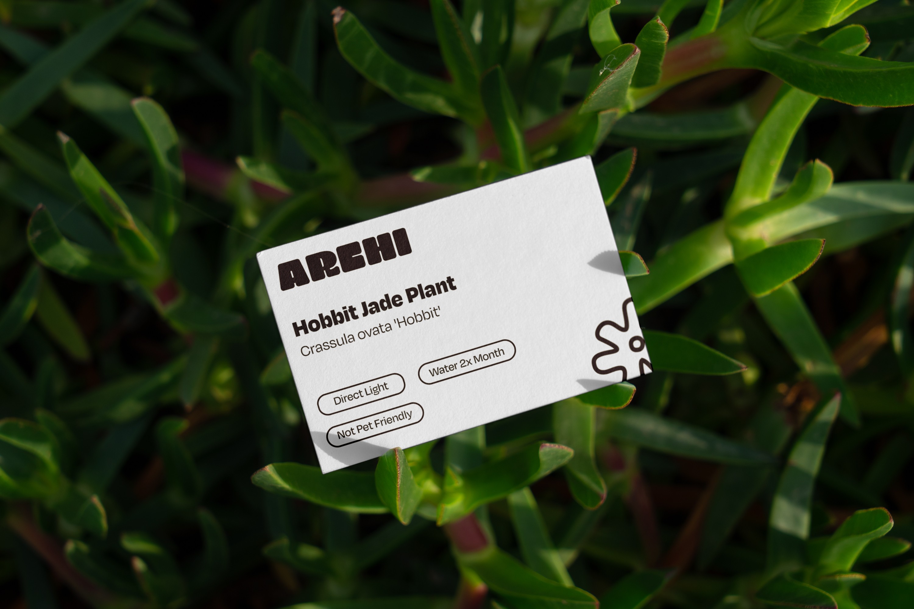 Graphic depicting UI-styled buttons with different categories of interior design items on top of an image of a modern interior living room.