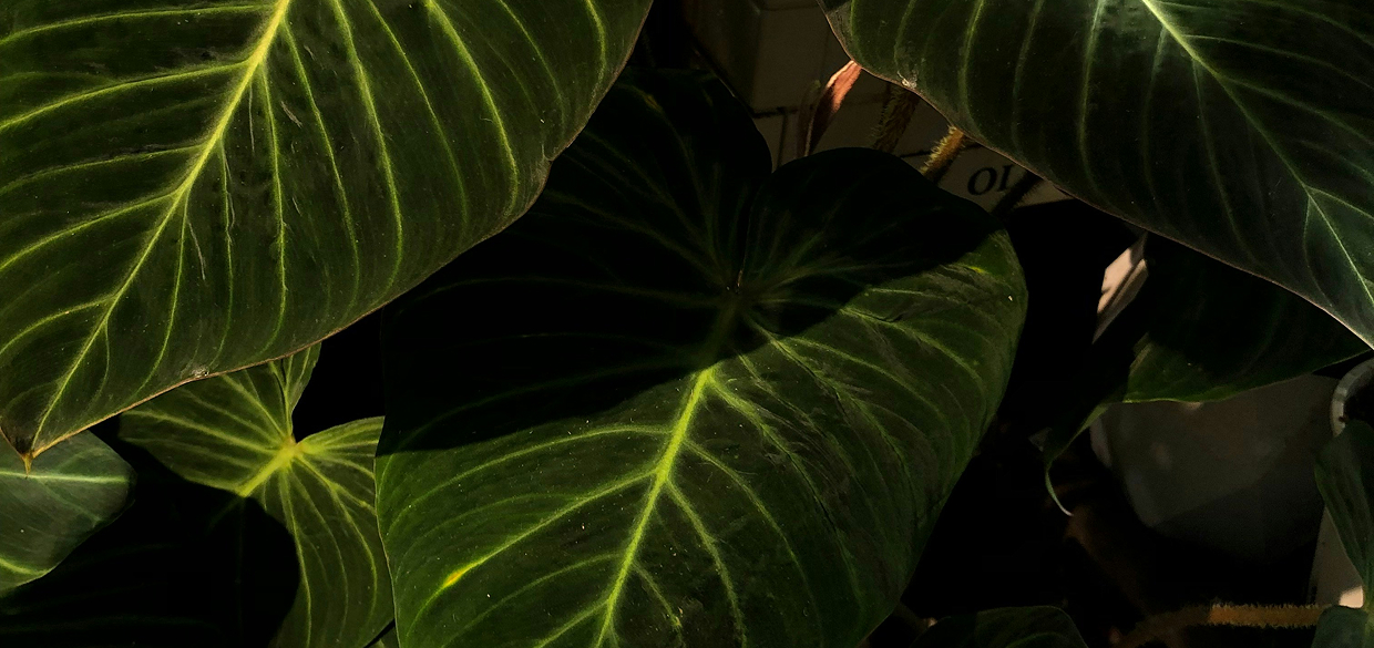 Graphic depicting UI-styled buttons with different categories of interior design items on top of an image of a modern interior living room.