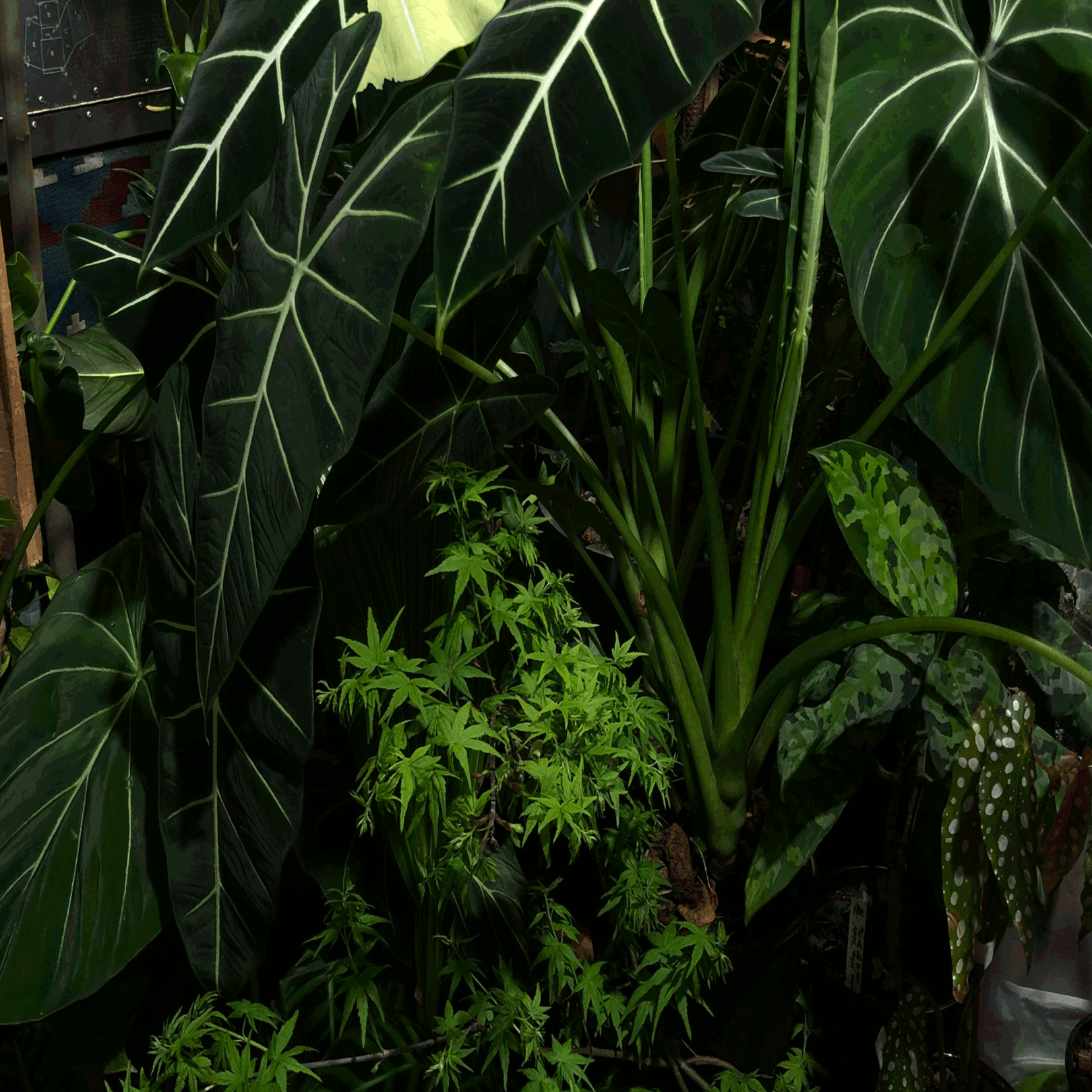 Graphic depicting a hexagonal cropped photo of an interior room design with grid lines along its borders.